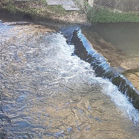 Gite Du Moulin De Barutel Mamers,Avec Spa Et Hammam Sur Reservation Payant Zewnętrze zdjęcie