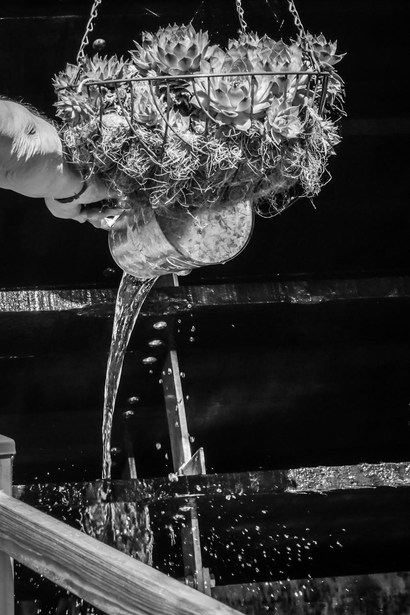 Gite Du Moulin De Barutel Mamers,Avec Spa Et Hammam Sur Reservation Payant Zewnętrze zdjęcie